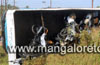 Mangalore: Truck transporting motorbikes overturns at Kottara